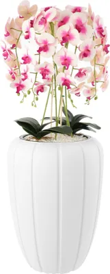 Zdjęcie produktu dla Sztuczna kremowa i różowa orchidea w doniczce bukiet kwiatów H 112 cm doniczka biała