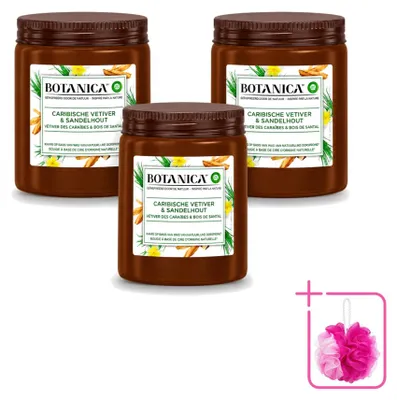 Image de 3 bougies parfumées Botanica de Air Wick - Vétiver et bois de santal - Pack économique - 3 pièces