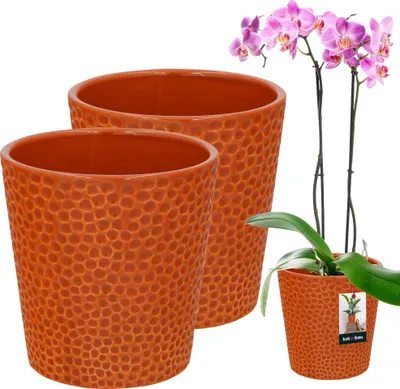Two textured orange ceramic pots are shown, with one containing a pink orchid plant. The pots have a honeycomb-like pattern.