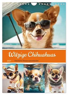 Produktbild von Witzige Chihuahuas. Glückliche Temperamentbündel (Wandkalender 2027 DIN A4 hoch), CALVENDO Monatskalender