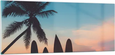 Produktbild von Bilder auf glas - Strand Meer Palme - 100x40cm - Glasbilder - Wandbilder - Kunstdruck - zum Aufhängen bereit - Wanddekoration aus Glas - Glas Bilder - Wandbild auf Glas - Einteilig - GAB100x40-4080