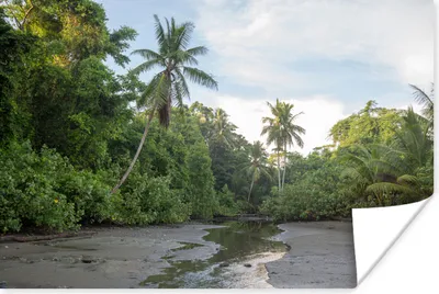 Produktbild von MuchoWow® Poster Kleiner Fluss zwischen den Bäumen des Corcovado-Nationalparks in Costa Rica 180x120 cm - Fotoplakat