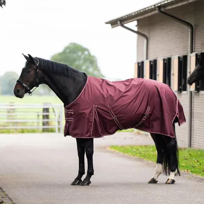 Produktbild von Imperial Riding Weidedecke in Größe 165 - Outdoordecke IRHBasic ohne Halsteil Fleece - deep red
