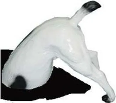 Image de Statue de jardin folle Chien avec arrière-train 25 cm Sculpture Statues