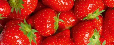 Produktbild von Fototapete - Strawberry 375x150cm - Vliestapete
