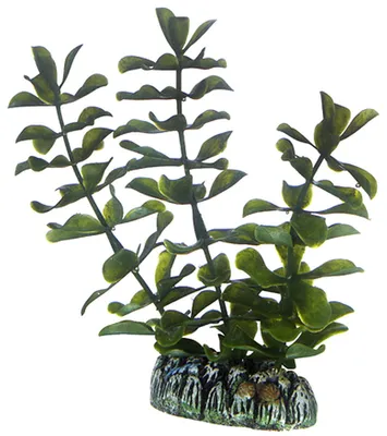 Produktbild von Hobby Bacopa, künstliche Pflanze 13 cm