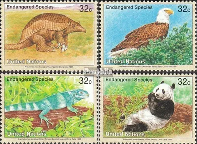 Produktbild von Briefmarken UNO - New York 1995 Mi 681-684 (kompl.Ausg.) postfrisch Gefährdete Tiere