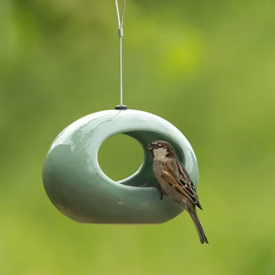 Produktbild von Hängende Wasserschale „Selo” Grün