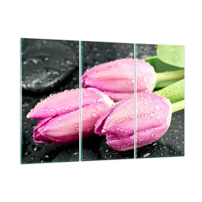 Produktbild von Bilder auf glas - Tulpen Tau Steine Pflanze - 165x110cm - Glasbilder - Wandbilder - Kunstdruck - zum Aufhängen bereit - Wanddekoration aus Glas - Glas Bilder - Wandbild auf Glas - GCE165x110-2485