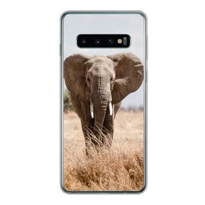 Produktbild von MuchoWow® Handyhülle Schutzhülle Hülle für Samsung Galaxy S10 Elefant - Natur - Tiere - Porträt Silikon Softcase Handy Hülle - Handytasche
