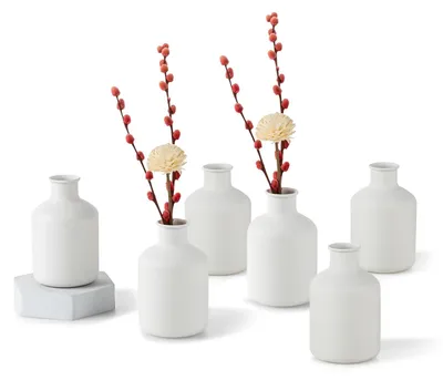 Productafbeelding van Set van 6 kleine, witte vaasjes voor bloemdecoraties