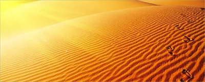 Produktbild von Wallario Poster - Fußspuren im Sand - Sanddüne in der Wüste, Kunstdruck Größe: 50 x 125 cm