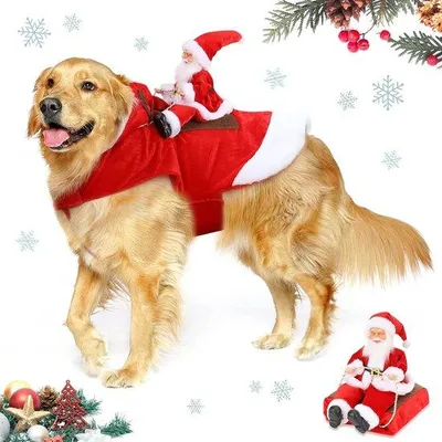 Produktbild von Famanu Hundekostüm Weihnachtsmann - Rot, XXL