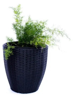 Produktbild von Elegant Einrichten | Pflanzkübel | Polyrattan | rund konisch | D30xH30cm | schwarz.