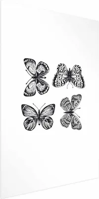 Produktbild von Posterpapier Poster - Four Butterflies 60x90 cm Tiere g-B-0117-ao-a