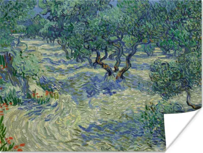Produktbild von MuchoWow® Poster Der Olivenhain - Vincent van Gogh 160x120 cm - Foto Plakat