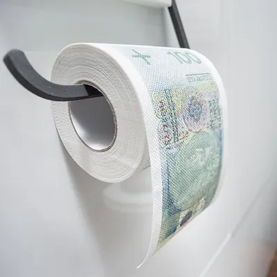 Zdjęcie produktu dla Papier toaletowy 100 złotych PLN XL stówka