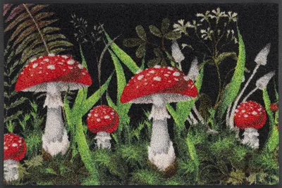 Schmutzfangmatte Paddehut 50x75 cm, waschbar, innen & außen