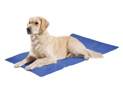 Produktbild von Karlie - Kühlkissen Fresk - L (50X90Cm) - 513866