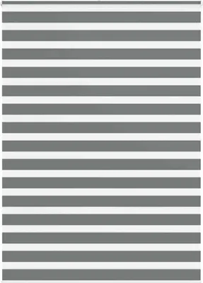 Obrázok produktu pre Zebra roleta tmavošedá 155x200 cm šírka látky 150,9cm polyester
