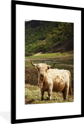 Produktbild von MuchoWow® Gerahmtes Poster Schottische Highlander - Pfad - Wald 60x90 cm - Poster mit Schwarzem Bilderrahmen Wandposter Rahmen Foto Bilder - Dekoration - Wandposter Wohnzimmer - Hochwertig