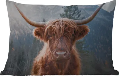 Produktbild von MuchoWow® Outdoor Kissen - Schottisches Hochlandrind - Kuh - Tiere - Berg - Natur - 60x40 cm - Wetterfest - Lounge Kissen - Zierkissen - Kissen für Innenräume