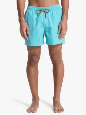 Image de Quiksilver Everyday Volley 15 Aqua XL