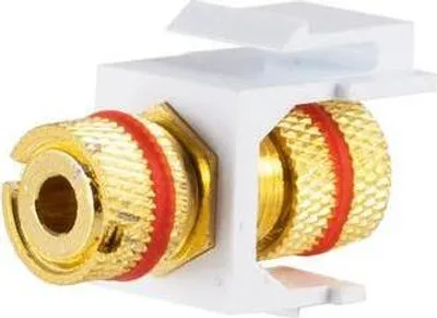 Produktbild von shiverpeaks Basic-S, Flach, Gold, Rot, Weiß, Banane, Banane, Weiblich, Weiblich