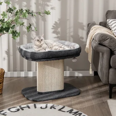 Produktbild von COSTWAY Kratzbaum Klein, 50cm hoch, Katzenbaum mit weicher Plüschsitzfläche & Sisal-Kratzsäule & Ball, Katzenkratzbaum Holz, Katzen Katzenmöbel Kletterbaum, Aktivitätsbaum Spielbaum (Grau)