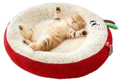 Image de Panier pour chat antidérapant, design semi-ouvert