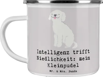 Produktbild von Mr. & Mrs. Panda Pott Niedlicher Kleinpudel - Grau Pastell - Geschenk, intelligenter Hund, Haferl, Teetasse, liebevoller, Hunderassen Eigenschaften, Hunderasse, Pflege
