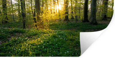 Produktbild von MuchoWow® - Aufkleber