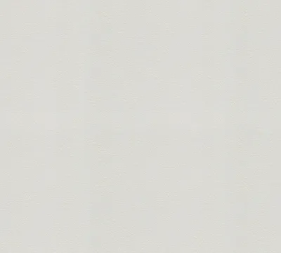 Obrázek produktu pro A.S. Création malovatelná netkaná tapeta Meistervlies 6 tapeta bílá 25,00 m x 1,06 m 573018 5730-18