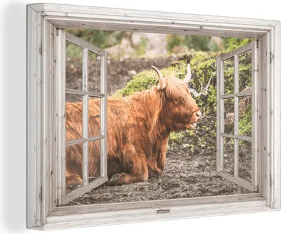 Produktbild von OneMillionCanvasses® - Leinwandbilder - 150x100 cm, Schottische Hochlandrind - Ansicht - Natur - Pflanzen, - Geöffnetes Fenster - Fensterblick Hochland Rind - Tier Wanddekoration - Hochland Rind - Kuh - Gemälde auf
