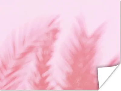 Produktbild von MuchoWow® Poster Pflanzen - Blätter - Rosa 160x120 cm - Foto Plakat