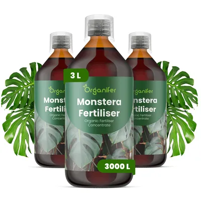 Obrázek produktu pro Monstera Tekuté Hnojivo 3x1 L – 3-4-3 NPK – Pro Monsteru – Podporuje Silný Tropický Růst & Stabilnú Štruktúru – Organifer
