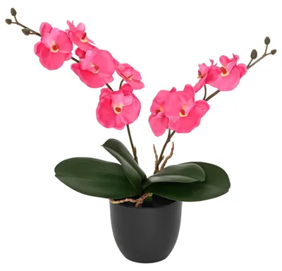 Obrázok produktu pre vidaXL Umelá orchidea, červená, 36 x 10 x 30 cm