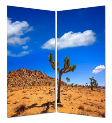 Produktbild von Wallario selbstklebende Duschrückwand 160 x 180 cm mit Motiv Palmlilie im Nationalpark Yucca Valley  Wüstenlandschaft - Wandverkleidung mit Hochglanzlaminat in Glasoptik