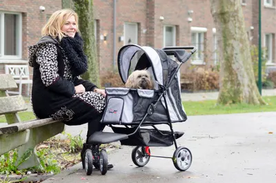 Produktbild von InnoPet® Hundebuggy All Terrain Pet Stroller Hundewagen Hundebuggy silver/black