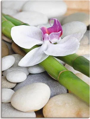 Produktbild von ARTland Leinwandbild Zen Orchidee Größe: 45x60 cm