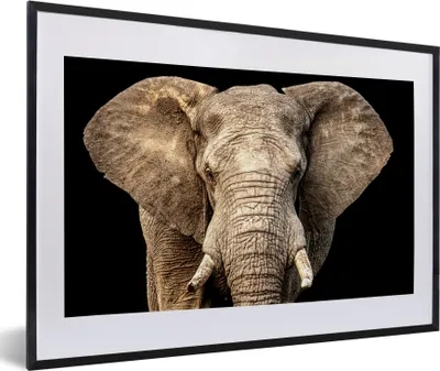 Produktbild von MuchoWow® MuchoWow® Gerahmtes Poster Elefant - Porträt - Schwarz 60x40 cm - Poster mit zchwarzem Bilderrahmen - Schlafzimmer - Plakat in Rahmen - Drucken