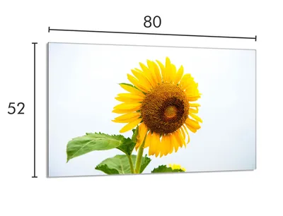 Produktbild von Glasherdschutzplatte 80x52 Blume