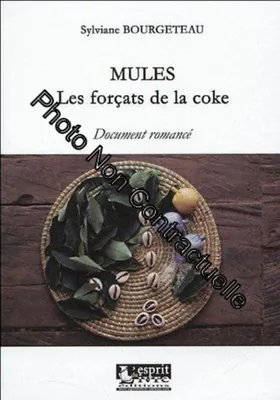 Image de Mules, les forçats de la coke