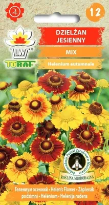 Zdjęcie produktu dla Dzielżan jesienny MIX mieszanka Nasiona kwiatów - 489 Toraf