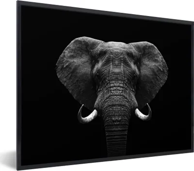 Produktbild von MuchoWow® Gerahmtes Poster Tiere - Elefant - Porträt - Schwarz - Weiß 40x30 cm - Poster mit Schwarzem Bilderrahmen Wandposter Rahmen Foto Bilder - Kunstposter - Wanddekorationen