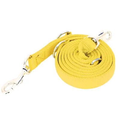 Image de laisse pour chien en nylon flexible de 2 m avec double boucle et chaîne (jaune, 2,5 cm x 200 cm)
