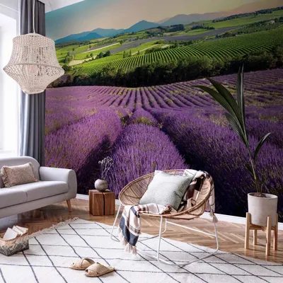 Produktbild von Vlies Fototapete - Lavender Field 300x210 cm Landschaften c-C-0427-a-a