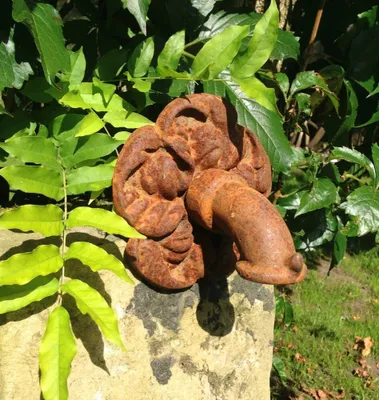 Produktbild von Wandbrunnen-Speier nach antiker Vorlage -Wasserauslauf -Stein-Brunnen Rosenblüte