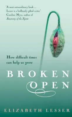 Obrázek produktu pro Broken Open