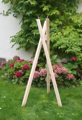 Image de Support en bois pour volière non traité